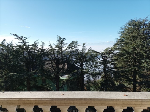 cunioli1