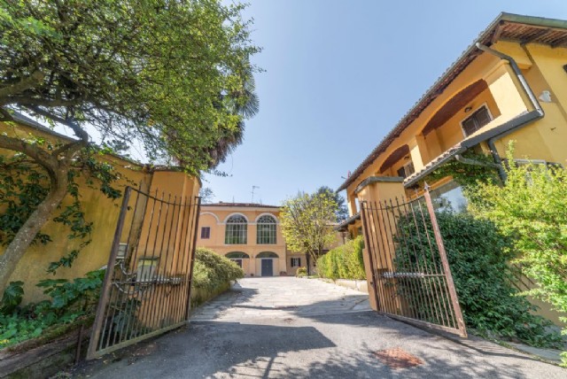  la scarsa