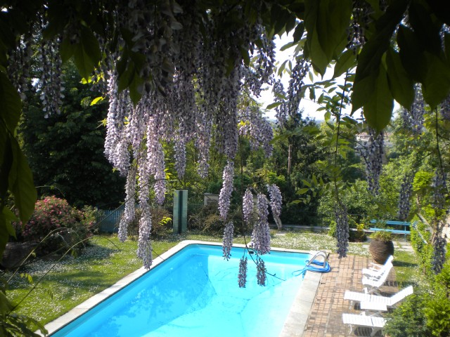  la scarsa