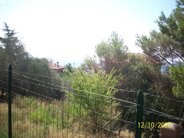 porto maurizio