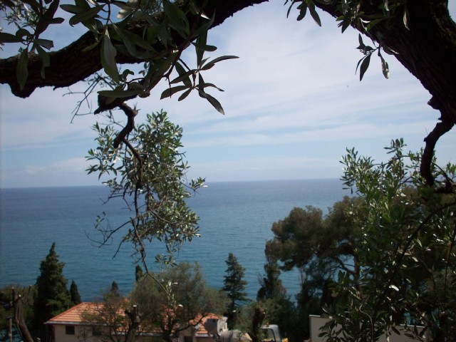 porto maurizio