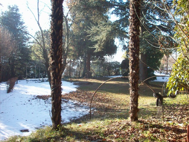 segantini