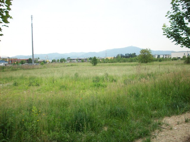 settimo cielo