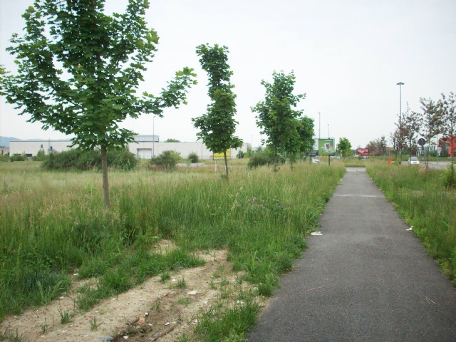 settimo cielo
