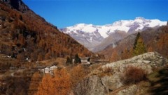 gressoney