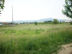 settimo cielo